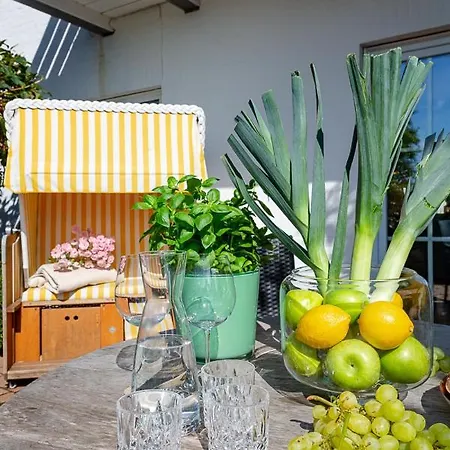 Meerstrandlaeufer * Westerland