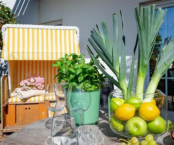 Meerstrandlaeufer * Westerland